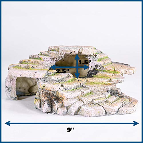 PENN-PLAX Reptology Shale Scape Step Ledge & Cave Hideout – Basking Area - Decorative Resin for Aquariums & Terrariums – Great for Reptiles, Amphibians, and Fish – Medium - size: Medium