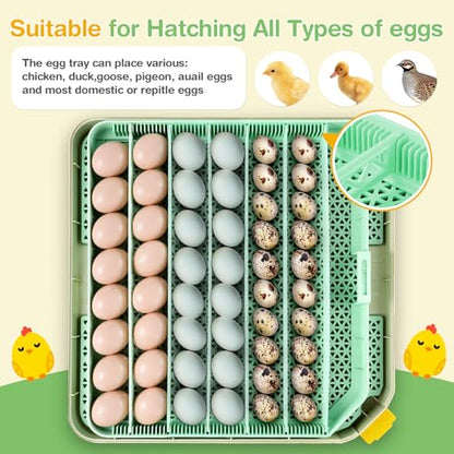 Sailnovo 48 Egg Incubator for Hatching Eggs with Auto Egg Turning, Precise Temp & Humidity Control, 360°Viewing, Egg Candler, Incubator for Chicken Eggs/Duck/Quail,Ideal for Farm/School/Lab,Green | Precise Temp & Humidity Control，Auto Egg Turning, 360°Vie