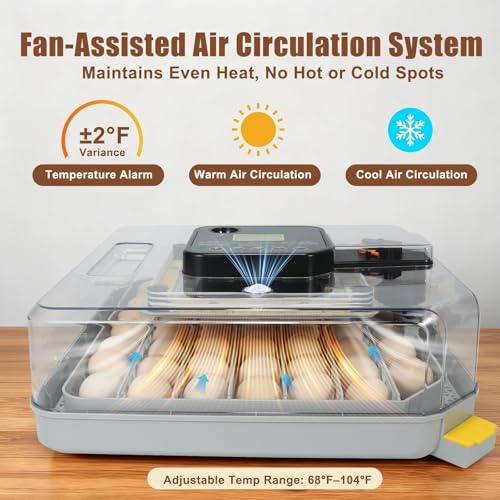 Series IV - 48 Egg Professional Incubator for Breeders, Automatic Sensor-Based Precise Humidity & Temp Control, Adjustable Spacing, Auto Turn & Auto Stop, Preset Incubation Days, Chick Separator - size: 48-Egg Gray