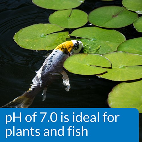 API POND WIDE RANGE pH TEST KIT 160-Test Pond Water Test Kit - style: pH Test Kit