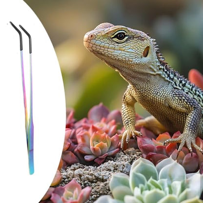 Reptile Feeding Tongs Stainless Steel Silicone Tip Aquarium Tweezers Terrarium Clamp Feeder Tool Water Grass Clip Suitable for Fish Tank Small, Curved - color: Curved
