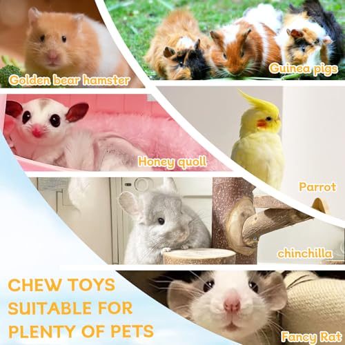 Hamster Platform Chinchilla Ledge Chew Toys with Lava Stone Block for cage | Wooden Climb Rest Shelf, Nail Trimming Bird Perch, Teeth Grinding Toys for Gerbil Mouse Parakeets Budgie Rat Cage Accessories - style: Style C