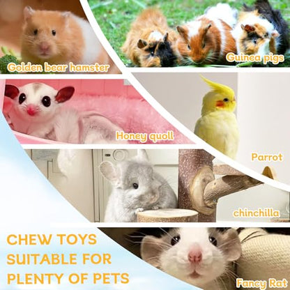 Hamster Platform Chinchilla Ledge Chew Toys with Lava Stone Block for cage | Wooden Climb Rest Shelf, Nail Trimming Bird Perch, Teeth Grinding Toys for Gerbil Mouse Parakeets Budgie Rat Cage Accessories - style: Style C
