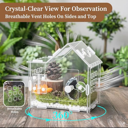 Jumping Spider Enclosure for Small Species, Acrylic Reptile Terrarium Habitat with Feeding Hole for Tarantulas, Praying Mantis, Gecko,Insects, Hermit Crab, Lizard, Snails Isopods - 6"*4"*6"