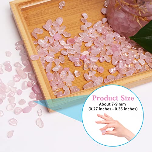 QICQDRAM Polished Gem Stones Rocks Rose Quartz Crystals Chips Natural 1LB | Small Tumbled Stones Crystal Chips Bulk for Healing Crystals Fish Tank Gravel Vase Filler (405g/14.28oz) - color: Rose Quartz