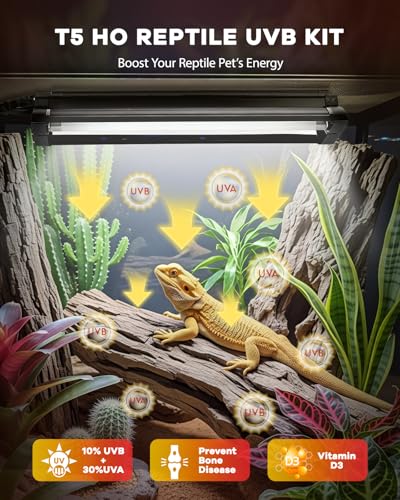 UVB Light for Reptile 24W, T5 UVB Reptile Light Fixture HO Combo Kit with Test Sensor Cards, 22" High Output Reptiles Light Bar UVA UVB Desert Lamp for Turtle Lizard Bearded Dragon Tank - color: 24w-22.4in Black
