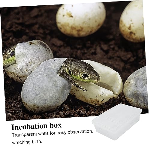 Angoily 20grids Practical Hatchery Box Incubator for Reptiles Transparent Incubation Container for Snakes Lizards and Turtles for Educational and Scientific Use