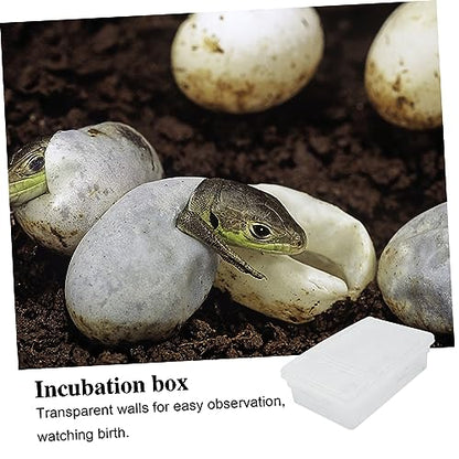 Angoily 20grids Practical Hatchery Box Incubator for Reptiles Transparent Incubation Container for Snakes Lizards and Turtles for Educational and Scientific Use