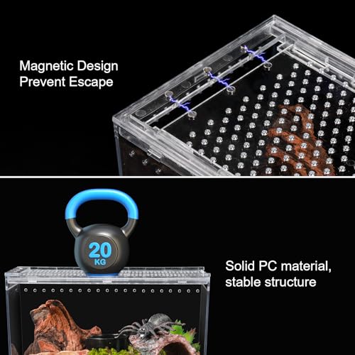 Escape Proof Tarantula Enclosure Hermit Crab Tank Spider Terrarium | Reptile PC Habitat 10.2" x 5.9" x 5.7" Full View for Isopods Bug Insect Frog Gecko - size: M-Only Terrarium