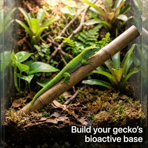 Day Gecko Bioactive Kit - 17qt Premium Bioactive Substrate + 2qt Leaf Litter + 2qt Sphagnum + Charcoal Iso-Flats Hide + 3oz Calcium + 25 Dwarf White Isopods + 8oz Tropical Springtails