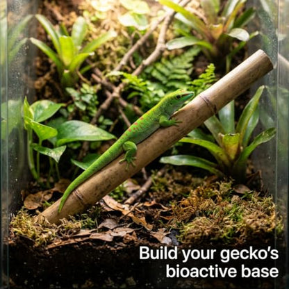 Day Gecko Bioactive Kit - 17qt Premium Bioactive Substrate + 2qt Leaf Litter + 2qt Sphagnum + Charcoal Iso-Flats Hide + 3oz Calcium + 25 Dwarf White Isopods + 8oz Tropical Springtails