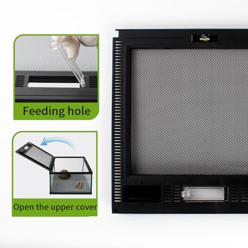 Reptile Glass Terrarium Tank 12 * 12 * 8" Full View with Top Ventilation, Amphibians Habitat Enclosure Cage for Frog,Spiders,Dubia Cockroach,Praying Mantis,Cricket,Tarantula,Hermit Crab - size: 12*12*8inch