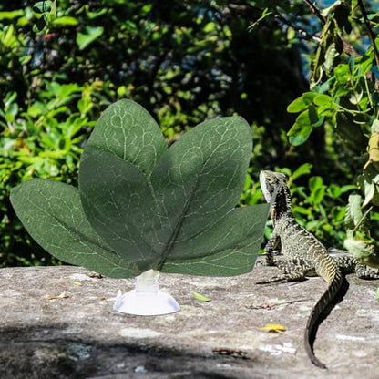 UPKOCH 5pcs Artificial Reptile Plant Decor Leaves Set for Terrarium Habitat, Realistic Faux Leaf Litter Including Perilla, Peony, Maple, for Reptiles and Amphibians