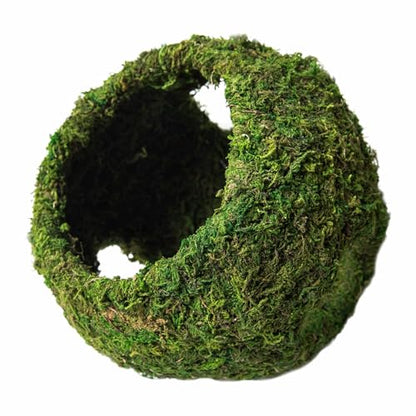 Galápagos (05344) Mossy Cave with Holes | Natural Reptile Hide for Bearded Dragons, Geckos, Snakes, Tortoises, Frogs, Hermit Crabs, and Lizards | Terrarium Decor, 7.5in Diameter