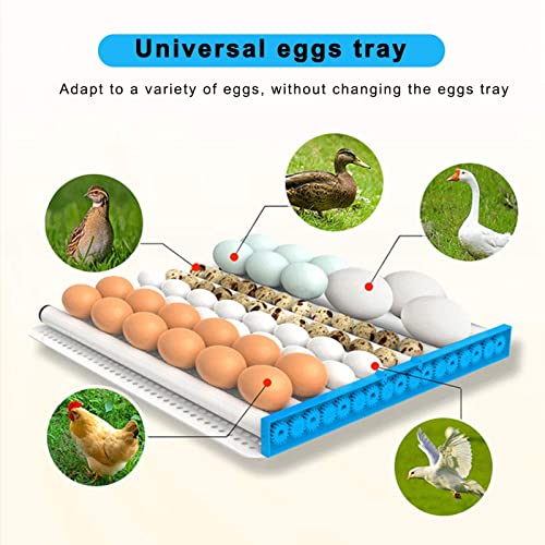 Digital Eggs Incubator Eggs Incubator Intelligent Mini Automatic Digital Brooder for Chicken Duck Farm Incubation Tools 220V