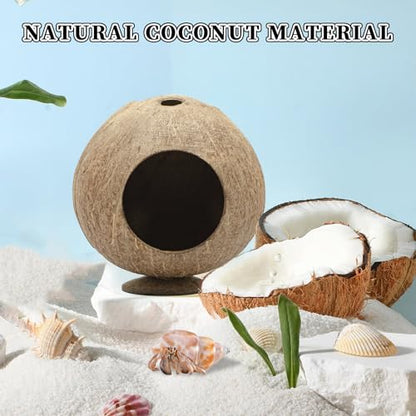 Hermit Crab Accessories, Natural Coconut Habitat Hide with Base, Reptile Tank Accessories, Coconut Hide, Habitat Hideout for Hermit Crab, Tarantula, Gecko and Other Small Animals
