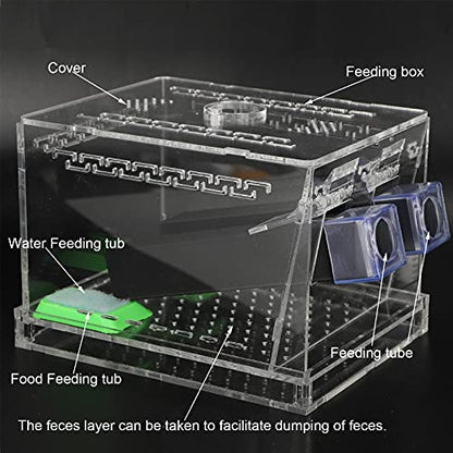 Cricket Keeper, Equipped with Water/Food Feeding Tub High Transparency Acrylic Material Cricket Keeper with Tubes Safe and Non- for Office for Home(L)