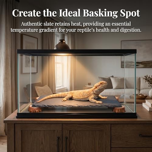 Bearded Dragon Basking Platform with Wooden Stakes, Large Reptile Feeding Station & Tank Accessories, Natural Slate Rock for Climbing and Teething, Habitat Decor for Lizard (Black)
