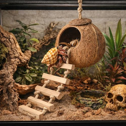 HERCOCCI Gecko Tank Accessories, Hermit Crab Toys Coconut Shell | Natural Coconut Husk Hut with Climbing Ladder with Suction Cup for Leopard Gecko Snake Reptiles