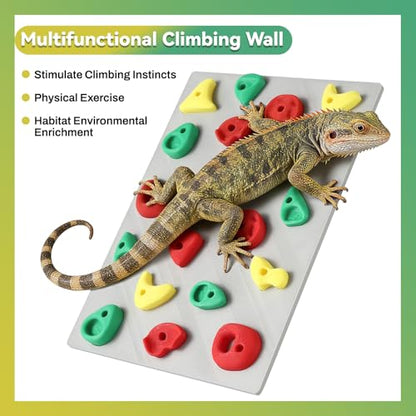 MITCHENIFY Reptile Climbing Wall, Bearded Dragon Accessories Toys | PLA Plastic, Simulating Natural Instincts, Habitat Enrichment Decor, Gift for Reptile Owners