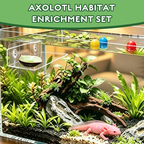 3 in 1 Axolotl Habitat Enrichment Set, Resting Feeding Holder | Mesh Hammock, Clear Platform with Suction Cup, Ceramic Dish, Floating Toy Balls, Axolotl Tank Decor Accessories