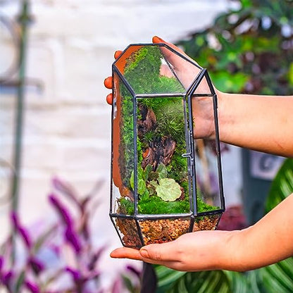 NCYP Small 5.1" x 5.1" x 8.66" Irregular Geometric Glass Terrarium Planter with Door - Home Tabletop Display Container Pot for Moss, Fern - Indoor Clear Decor, Black (No Plants)