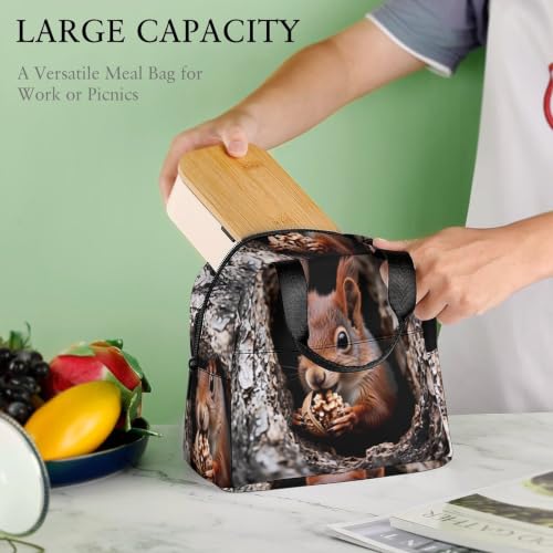 Squirrel Lunch Bag for Women Men | Insulated Lunch Box Leakproof Food Meal Containers Reusable Foldable 6L Capacity Lunch Tote Bags for Work Picnic Travel - color: style-11