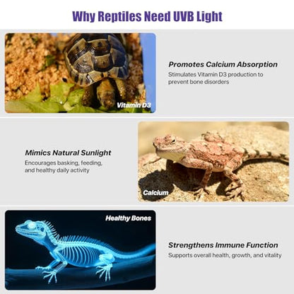 8.5" LED UVB Reptile Light with 24H Cycle Timer & Dimmer | 8W UVA UVB Lamp, UVI Switching, Brightness Adjustment for Turtle, Bearded Dragon, Lizard and More(No Heat) - size: 8.5 inches