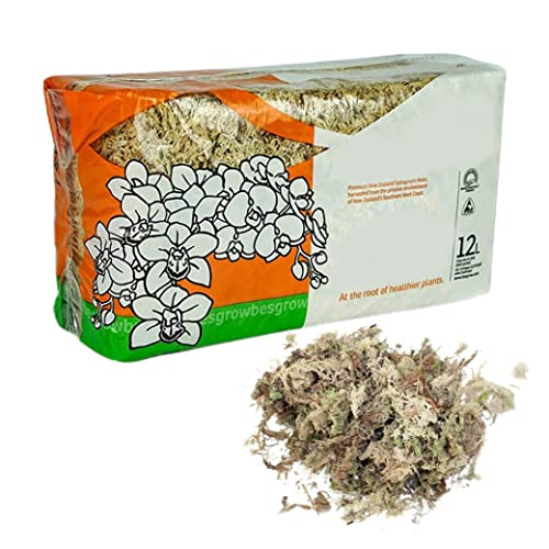 Sphagnum Moss Dried Spagnum Dry Moss for Reptiles Bedding and Terrarium Pet Supplies 150g9999Sphagnum Dried Dry for Reptiles Reptile Spagnum for Plants