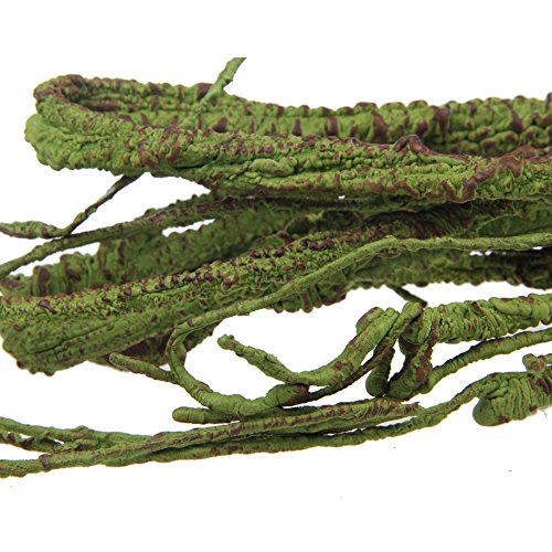 emours Flexible Realistic Jungle Vines Pet Habitat Decor for Lizard,Frogs, Snakes,Chameleons and More Reptiles, 3.6ft Long - size: zzzz-s