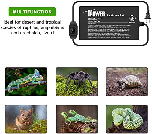 iPower Reptile Heat Mat Under Tank Warmer 4W/8W/16W/24W Terrarium Heater Heating Pad with Temperature Adjustable Controller Knob, Digital Thermometer and Hygrometerf or Amphibian, Multi Sizes - size: 4 X 7 Inch, style: 1 Pack with Adjustable Knob
