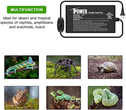 iPower Reptile Heat Mat Under Tank Warmer 4W/8W/16W/24W Terrarium Heater Heating Pad with Temperature Adjustable Controller Knob, Digital Thermometer and Hygrometerf or Amphibian, Multi Sizes - size: 4 X 7 Inch, style: 1 Pack with Adjustable Knob