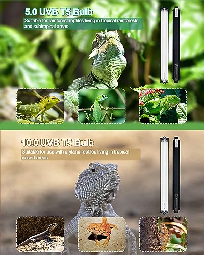 T5 UVB Reptile Light Kit, 39W T5 Reptile Light Fixture with UVB 10.0 Fluorescent Bulb, 35 in Terrarium Hood Light Fixture, Ideal for Tropical and Desert Habitats Reptile - size: 34 In