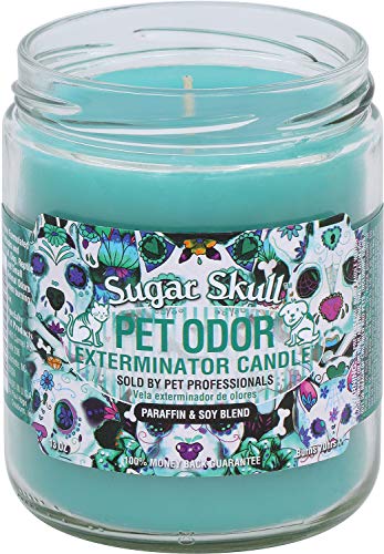 Pet Odor Exterminator Candle, Sugar Skull,13 oz - color: Sugar Skull