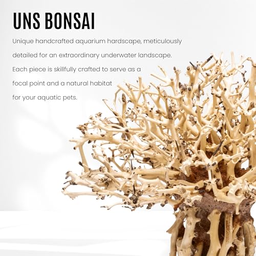 Ultum Nature Systems Bonsai - Handcrafted Hardscape Driftwood for Aquarium, Terrarium, Vivarium, Natural Aquascape Hardscape Decorations, Aquascaping Hardscape for Live Aquatic Plants - 007, Small