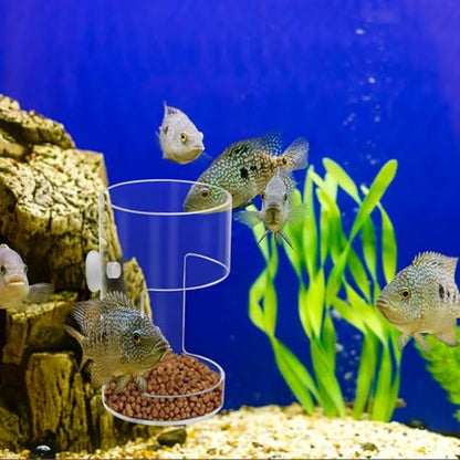 New Fish Tank Feeding Tray with Suction Cup, Feeding Tube Supplies, Tank Divider Supplies, Breeder Box for Aquarium, Round Aquariums & Fish Bowls Accessories - color: 2.Transparent