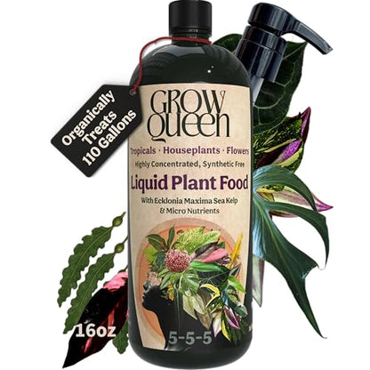 Organic Liquid Indoor Plant Food, Houseplant, Tropical & All-Purpose Indoor Plant Fertilizer, Organic Liquid Fertilizer 5-5-5 with Sea Kelp, 16oz Treats 110 Gallons - size: 16oz