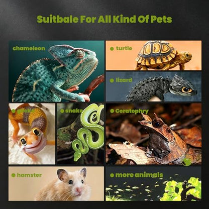 4 Gallon Glass Reptile Terrarium 12"x8"x8" | Stackable, Full View Tank, For Leopard Gecko, Frog, Snake, Hermit Crab, Tarantula, Jumping Spider - size: 12*8*8in
