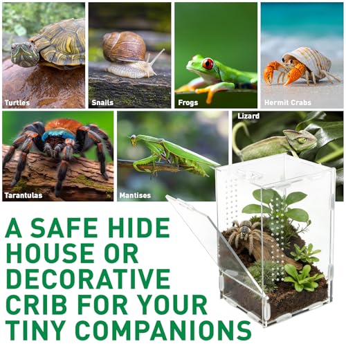 7.8"x4.7"x4.3" Jumping Spider Enclosure with Front Door | Small Acrylic Terrarium Praying Mantis Enclosure Clear Jumping Spider Habitat for Tarantula, Snail, Crabs and Small Reptiles