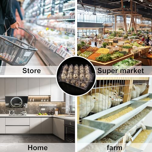 150 Pack Quail Egg Cartons, Clear Plastic Quail Egg Trays, Holds up to 20 Quail Eggs Securely - Your Ultimate Small Eggs Carton Holders for Bulk Storage and Display - size: 150 Pack Quail Egg Cartons 20 Grids