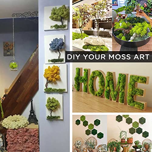 9oz Preserved Natural Moss for Potted Plants, Terrariums & Wedding Decor | Natural Pine Leaves Needles, Real Greenery Cedar Stems, Xmas Garland, Wedding Home Decor, Indoor Outdoor, Picks, Dried Plants