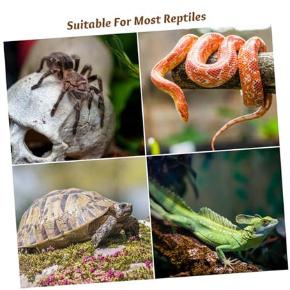 6pcs Reptile Tank Escape Lock Buckles for Turtle Terrariums Secure Lid Latches for Reptiles and Turtles Easy Install Buckle Clips Providing Ventilated Enclosure Safety
