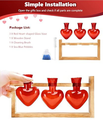 Plant Terrarium with Wooden Stand, 3 Heart Bulb Glass Vases | Wooden Stand Tabletop for Air Planter, Gifts for Mom Plant Lovers Mom Women Wife Grandma - color: Red