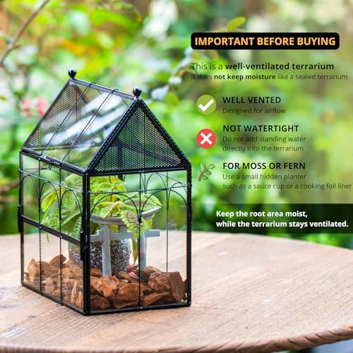 NCYP Glass Jumping Spiders Enclosure with Vent Holes - 7.5" x 4.9" x 9" Vented Glass Terrarium for Small Spider, Mantis, Small Beetle, House Shape, Tabletop Decor, Black (Terrarium Only)
