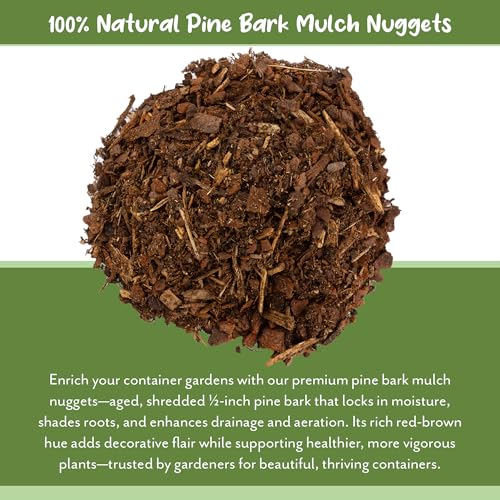 Soil Sunrise 100% Natural Pine Bark Mulch Nuggets (12 Quarts) Small Chips for Indoor/Outdoor Container Gardening, Ideal for Soil Supplement, Houseplant Topper, and Terrariums - size: 12 Quarts
