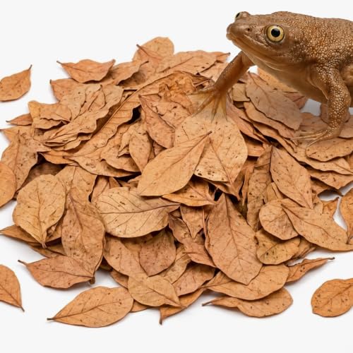 JOR 120 Pack Dwarf Frog Leaf Litter, Mini Indian Almond Leaves as Microfauna Habitat Tank Food Source, Substrate in Bioactive Terrarium & Vivarium Enclosure, Helps Tank Mimics Native Habitat