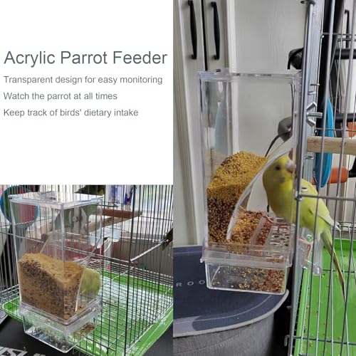 No Mess Bird Feeder Water Dispenser Set Acrylic Automatic Parrot Feeder | Transparent Parrot Food Container Drinker Cage Accessories for Small Birds Canary Finch (Dark green, 1) - color: Dark green