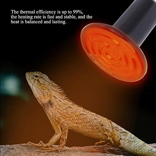 Fdit Ceramic Heating Lamp, E27 Infrared Heat Lamp 100W 220V-240V for Reptile Pet Enclosure No Light Emitting Animal Heat Bulb (1#)