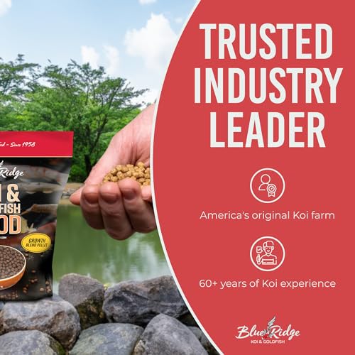 Blue Ridge Koi Fish Food 5lb - Koi Food 3/16” Large and Mini Blend Growth Formula, Goldfish Food, Premium Fish Food for Ponds, Ponds Fish Food, Floating Pond Pellets - size: 5 Pound (Pack of 1)
