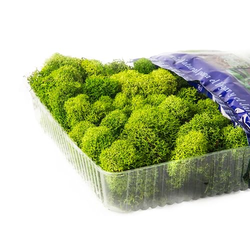 SuperMoss (23080) Reindeer Moss Preserved, Basil, 2 Ounces - size: 2 oz